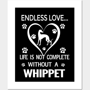 Whippet Lovers Posters and Art